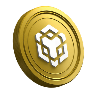 Binance BNB cryptocurrency coin on new trader guide page